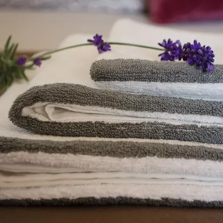 Gospodarstwo wiejskie Casa Cerro Da Correia