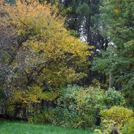 Gospodarstwo wiejskie Casa Cerro Da Correia Manteigas