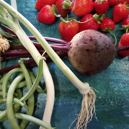 Casa Cerro Da Correia Gospodarstwo wiejskie Manteigas