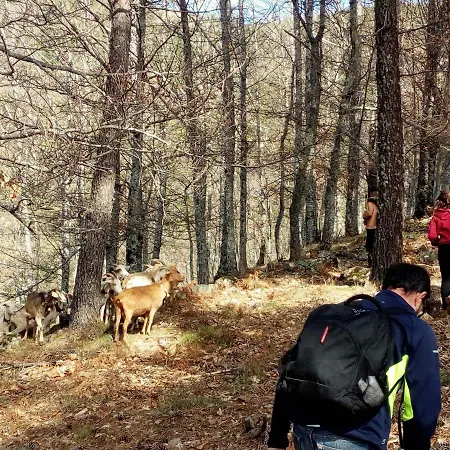 Casa Cerro Da Correia *