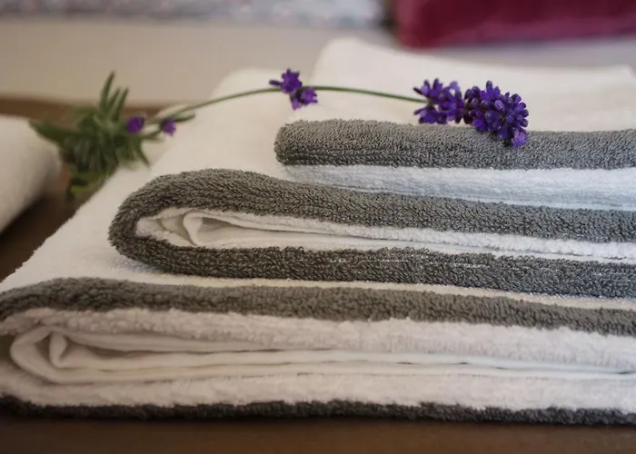 Casa de Campo Casa Cerro Da Correia