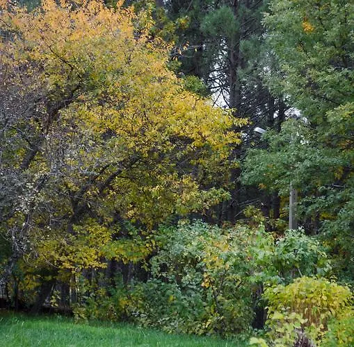 Casa de Campo Casa Cerro Da Correia Manteigas