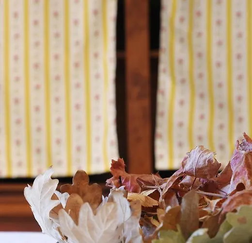 Casa Cerro Da Correia Gospodarstwo wiejskie