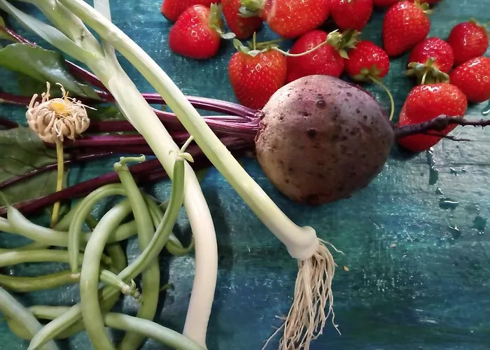 Casa Cerro Da Correia Casa de Campo Manteigas