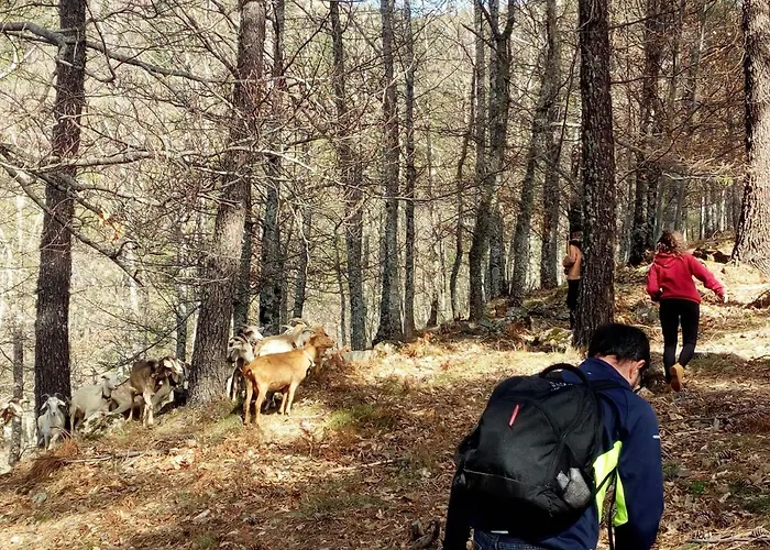 Casa Cerro Da Correia *