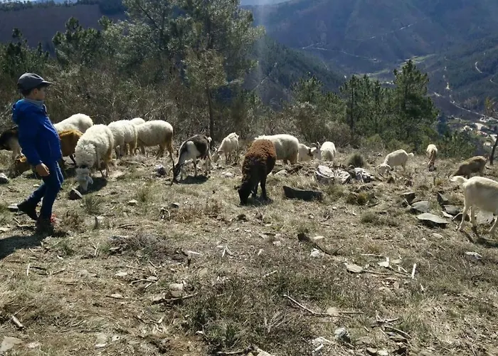 Casa Cerro Da Correia *